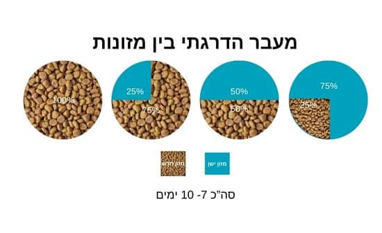 כך תעבירו את הכלב ממזון למזון במינימום הפרעה לעיכול