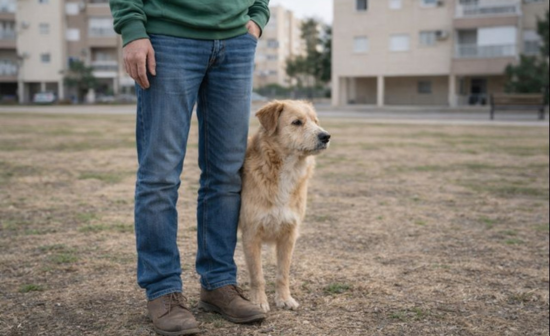 להבין במקום לתקן. 